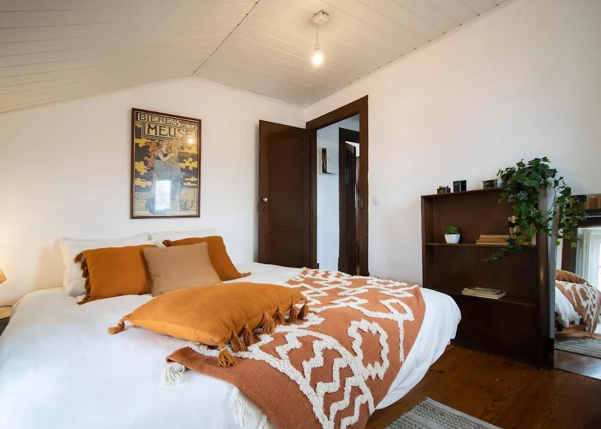 Typical Coimbra Home At Se Velha Square Apartment